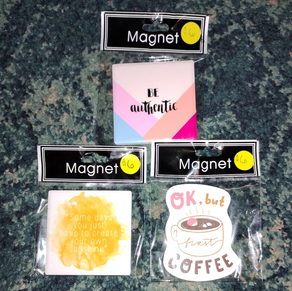 🧲Cute Ceramic Magnets🧲